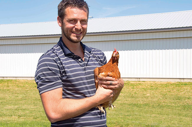 Free-Range Eggs: Embracing new standards - Canadian Poultry