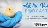 The Ask the Vet podcast series from Canadian Poultry