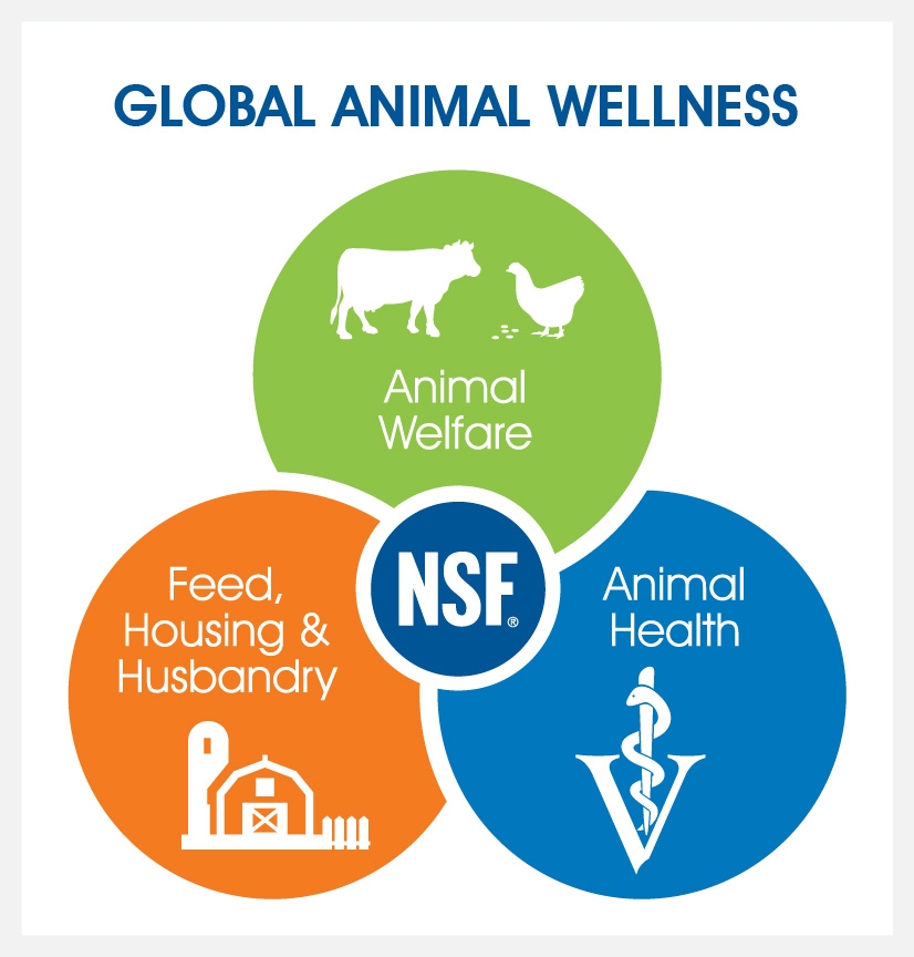 NSF International Introduces Global Animal Wellness Standards - Canadian  Poultry MagazineCanadian Poultry Magazine