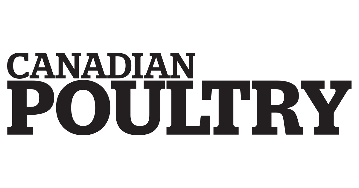 Free-Range Eggs: Embracing new standards - Canadian Poultry  MagazineCanadian Poultry Magazine
