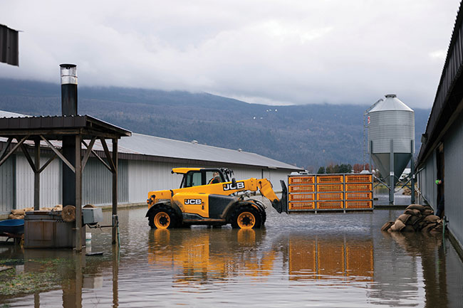 moving-pullets-as-the-flood-waters-rise