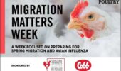 Migration Matters Week 2023