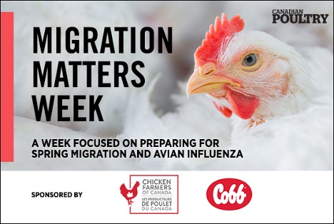 Migration Matters Week 2023